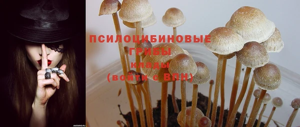 дмт Баксан