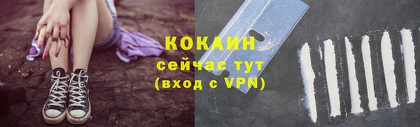 стаф Балахна