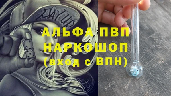 стаф Балахна