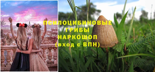 винт Арсеньев