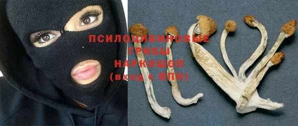 стаф Балахна